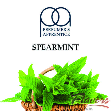 

Ароматизатор The perfumer's apprentice TPA Spearmint Flavor (Мята) 10 мл