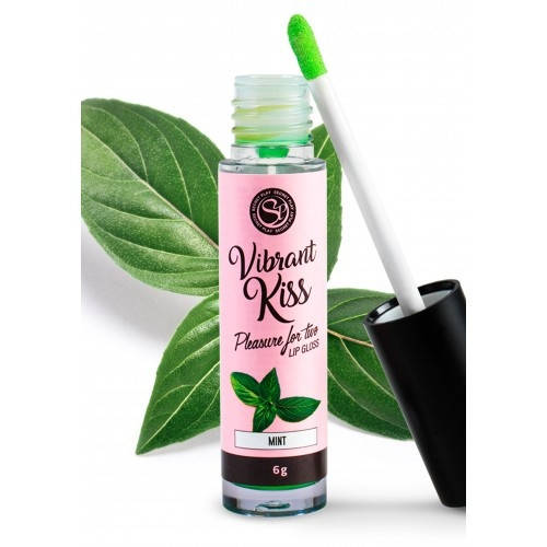 

Блеск для губ с вибрацией Secret Play Vibrant Kiss Мята