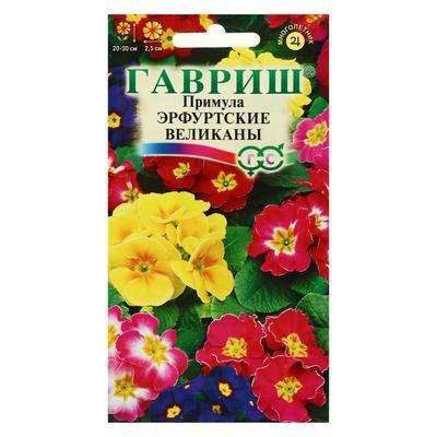 

Семена Примула Эрфуртские Великаны 20 семян Гавриш, Разные цвета