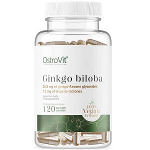 

Гинкго Билоба OstroVit Ginkgo Biloba 120 mg Vege (120 капсул.)