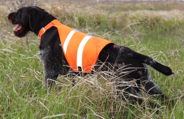 

Сигнальный жилет Dog Ripstop Vest L