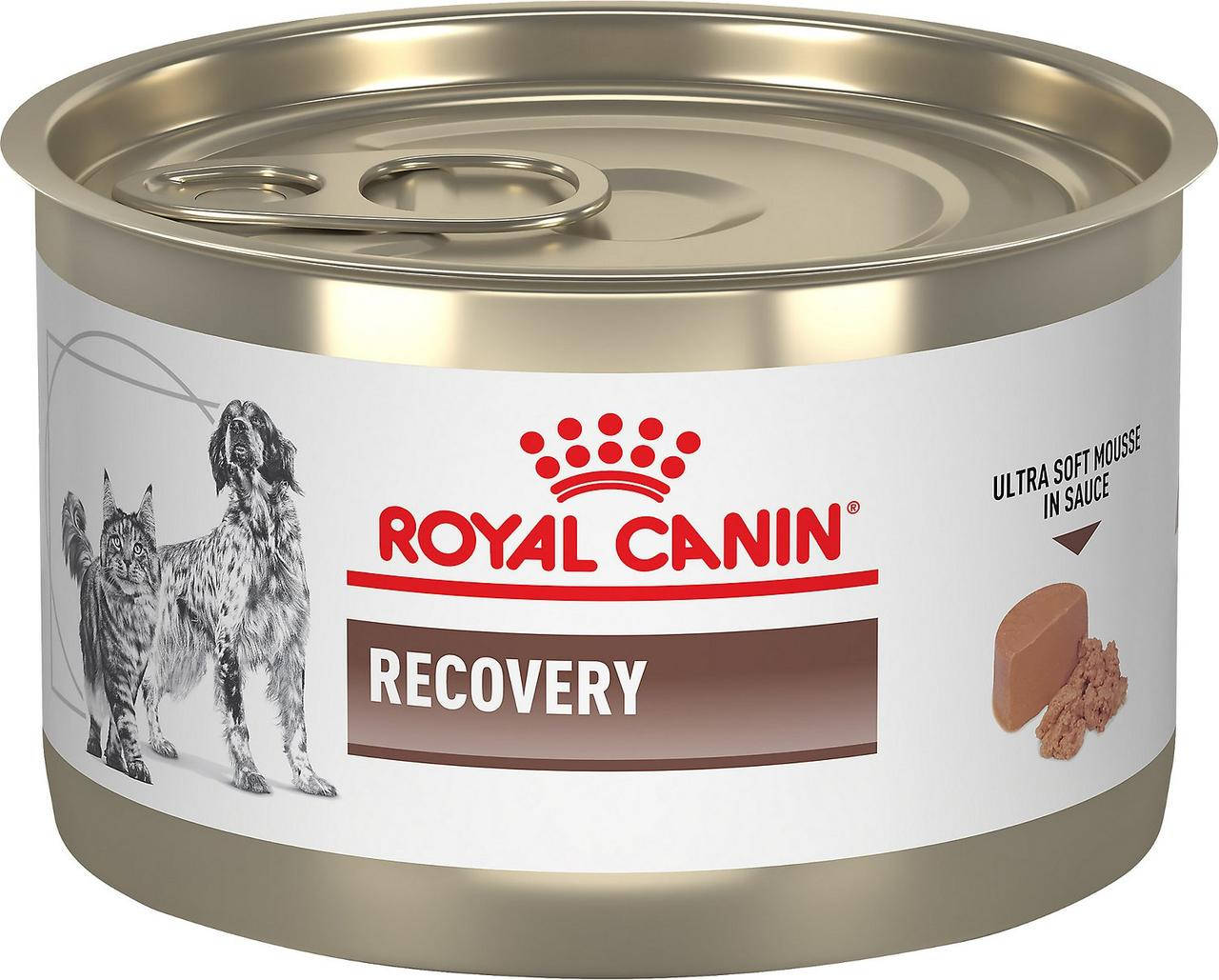 

Влажный Корм Royal Canin Recovery для собак и котов 195 г