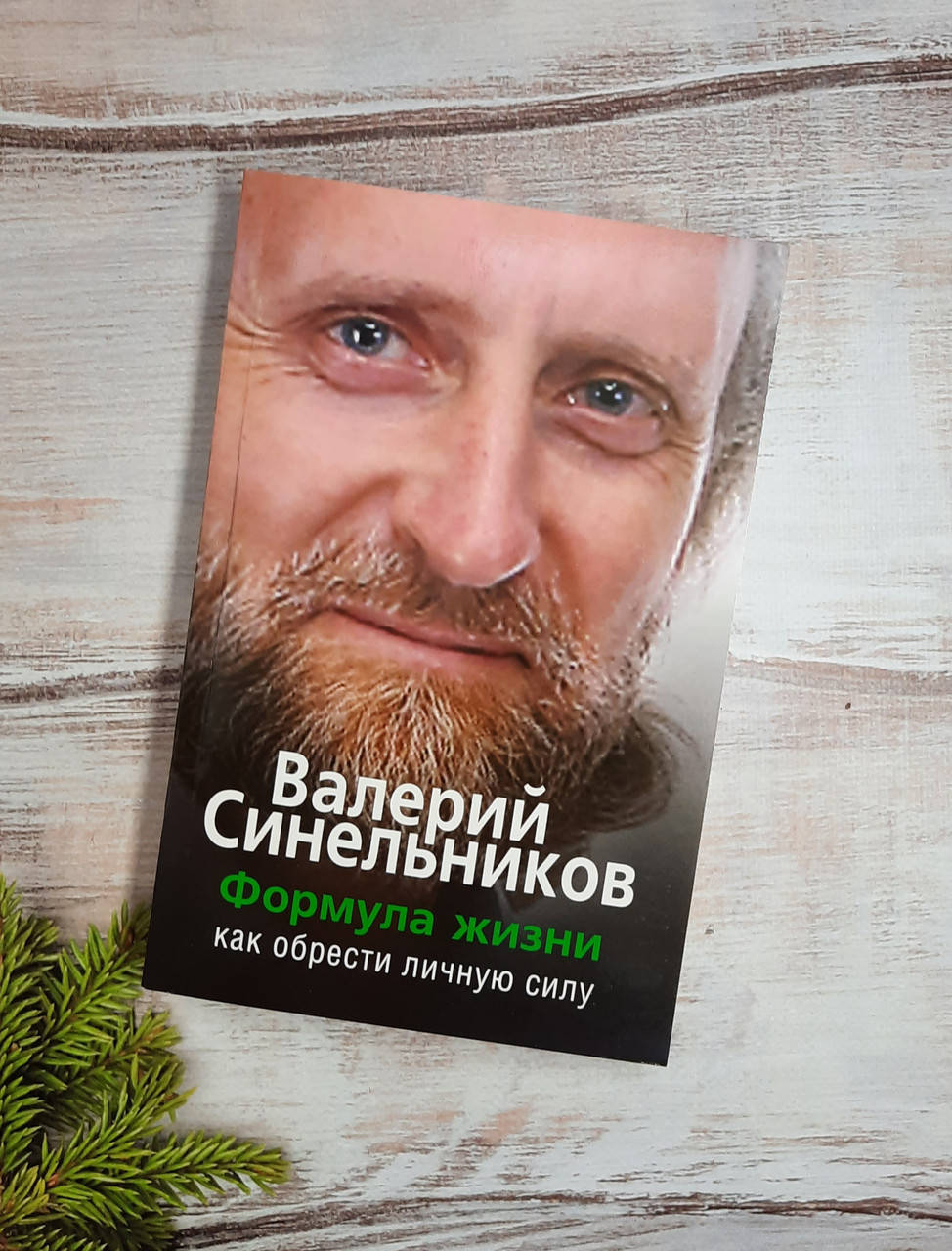 

Синельников Формула жизни. Как обрести личную силу