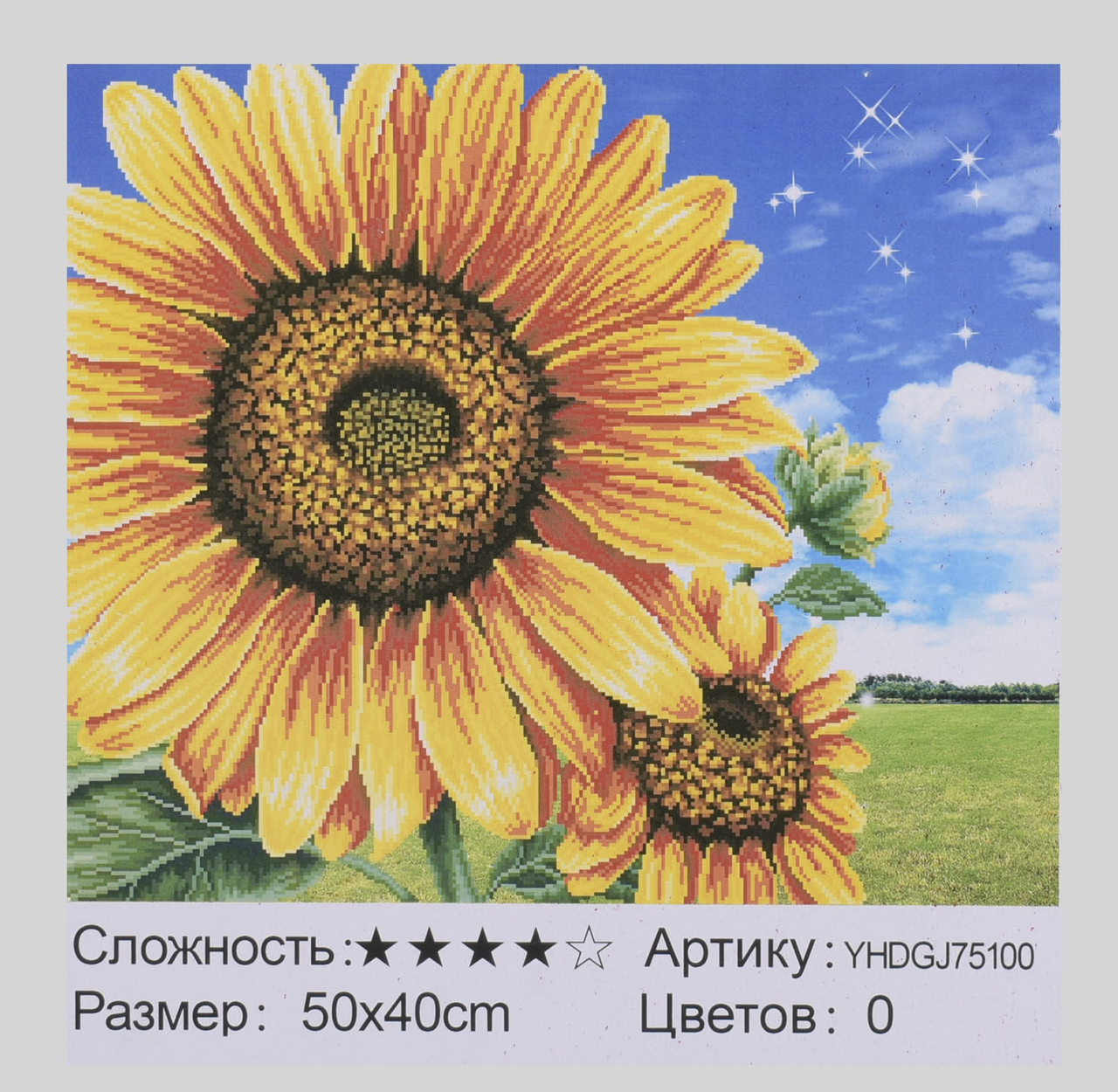 

Картина за номерами + Алмазна мозаїка 2в1 YHDGJ 75100 (30) 50х40см