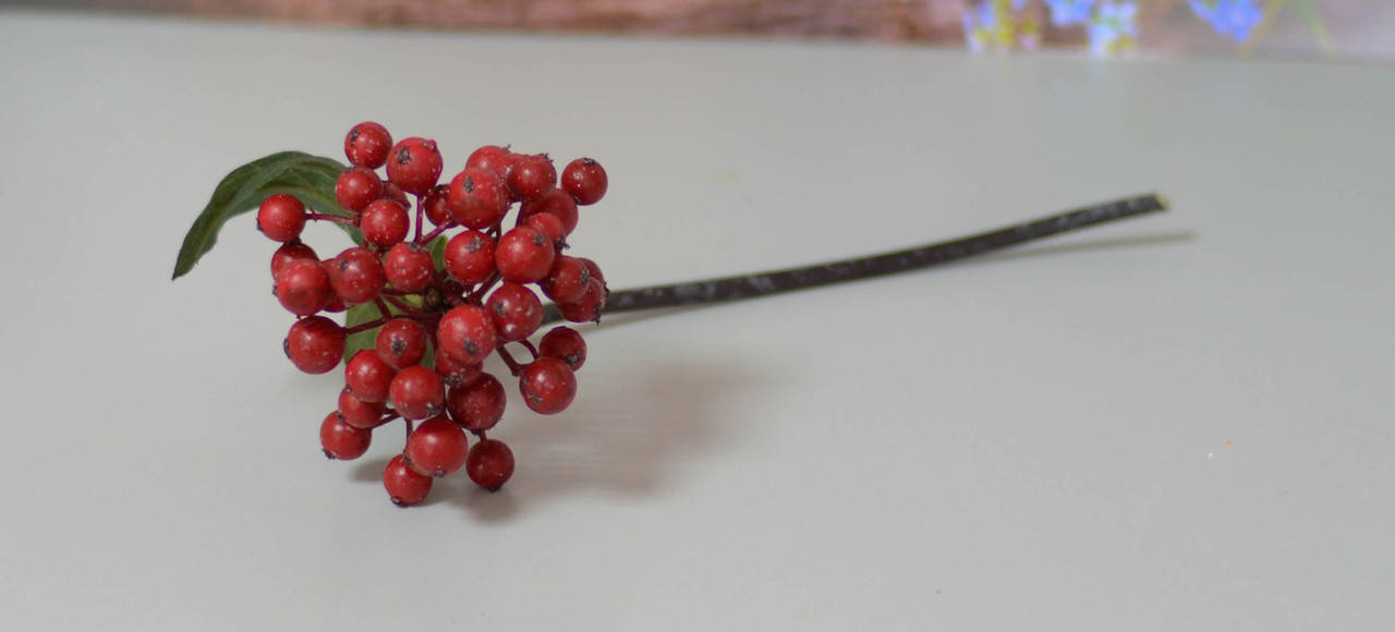 

Ветка красных ягод премиум класса, Красный