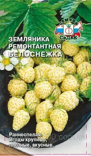 

Семена Земляника ремонтантная Белоснежка 0,04 грамма Седек