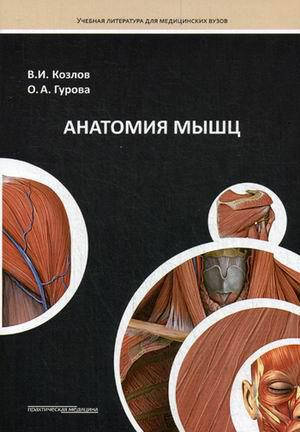 

Козлов В.И., Гурова О.А. Анатомия мышц. Учебное пособие