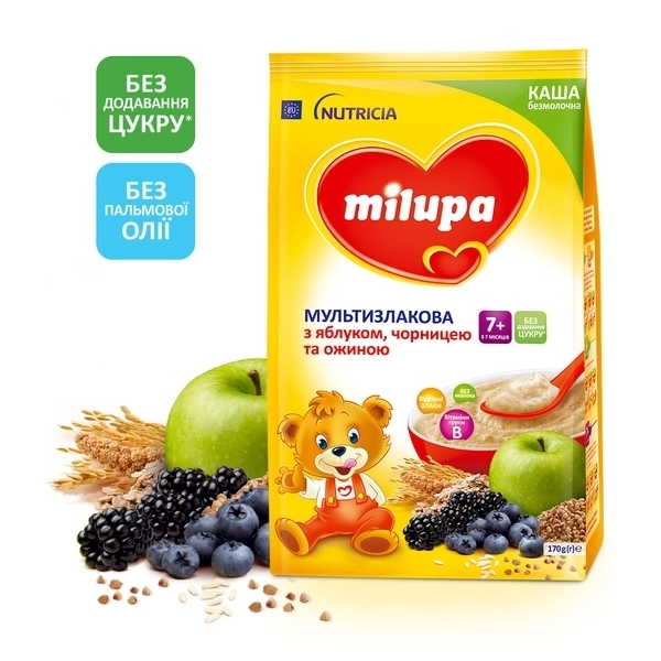 

Безмолочная каша Milupa Мультизлаковая с яблоком, черникой и ежевикой, 170 г