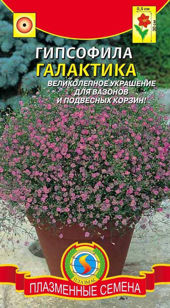 

Гипсофила Галактика 0,005 г (Плазменные семена), Розовый