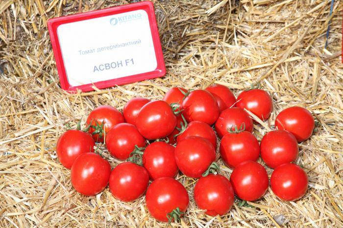 

Семена Томат детерминантный Асвон F1 поштучно 20 семян Kitano Seeds
