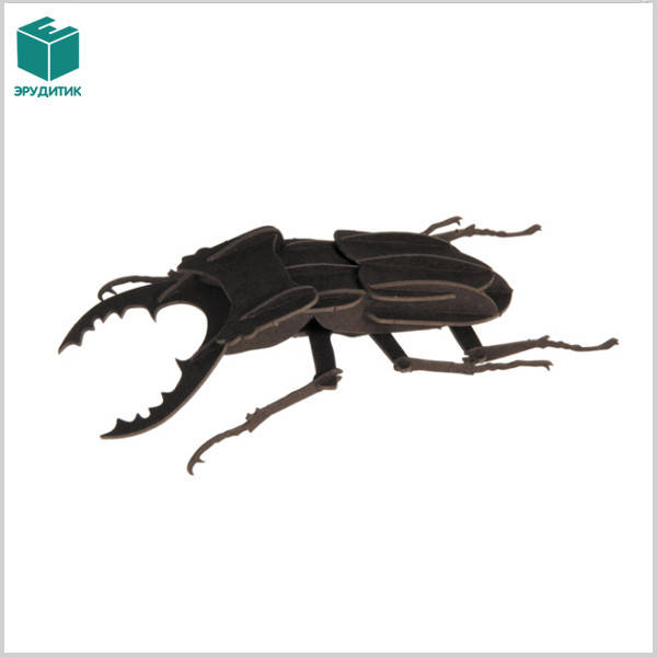 

Жук | Beetle Fridolin 3D модель
