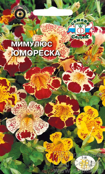 

Семена Мимулюс Юмореска смесь 0,05 грамма Седек, Разные цвета