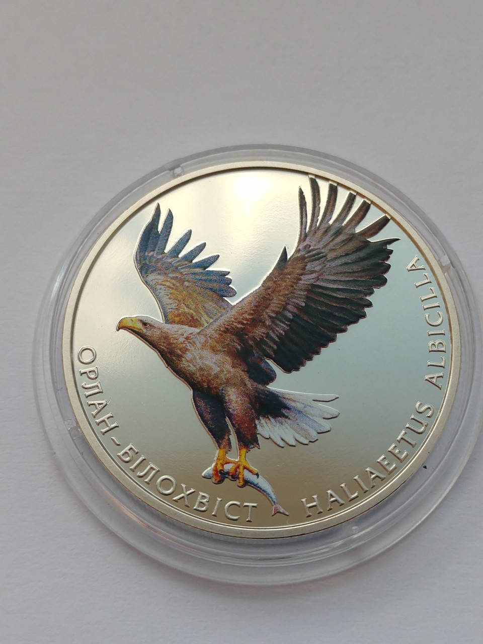 

2 гривнi Орлан Білохвост Белохвост 2019 (н)