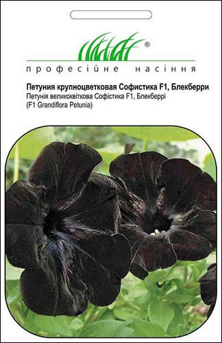 

Семена Петуния Софистика F1 блекберри 8 шт Pan American