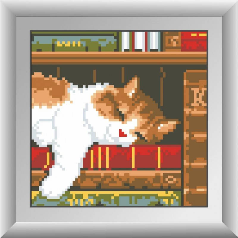 

Рисование квадратными камнями Котенок на книжной полке Dream Art 30363M (17 х 17 см)
