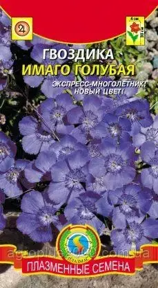 

Семена Гвоздика Имаго Голубая 0,05 грамма Плазменные Семена, Голубой