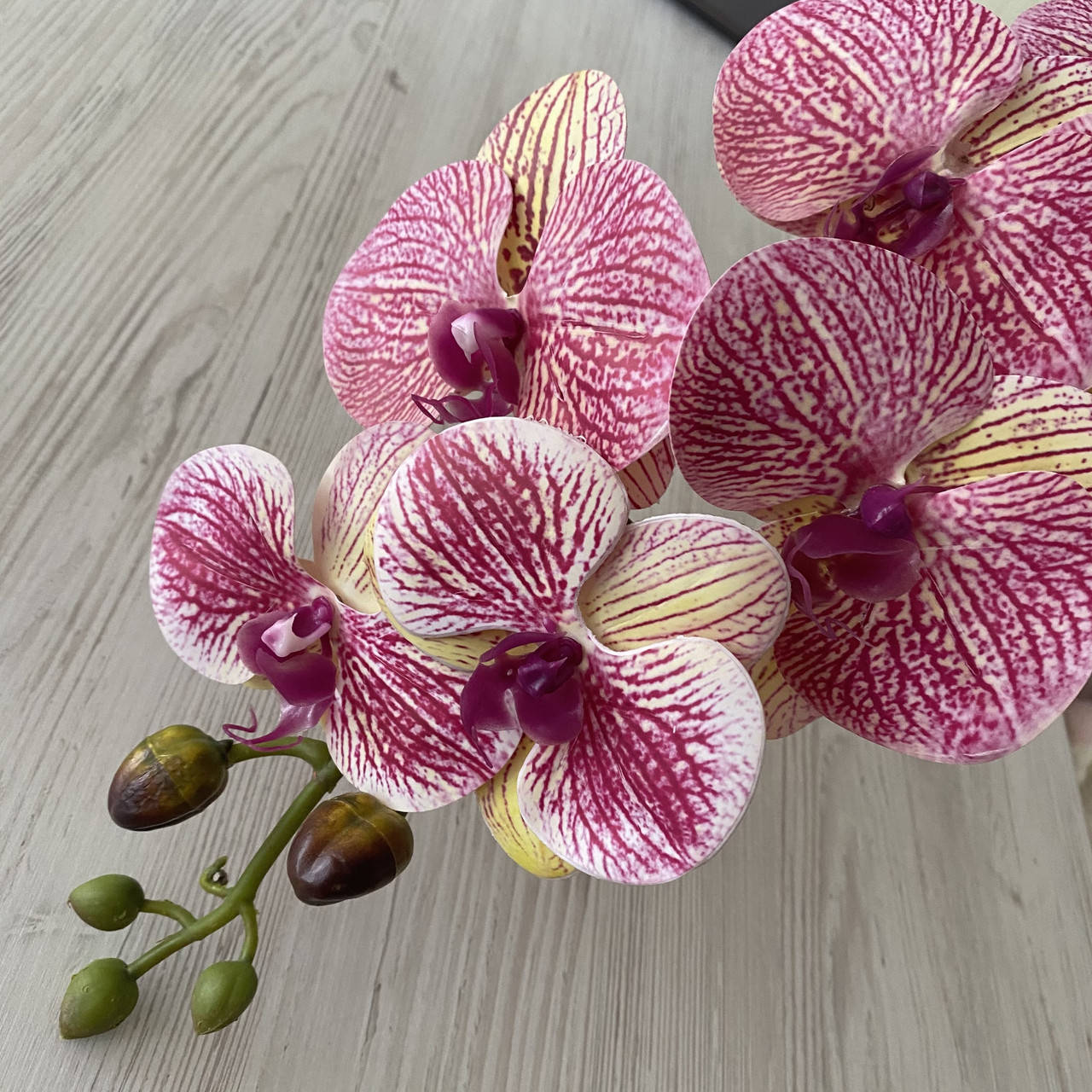 

Искусственная орхидея фаленопсис тигровый с розовым VF 013, Розовый