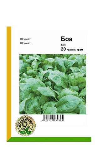 

Семена Шпинат Боа 20 гр Rijk Zwaan 2248