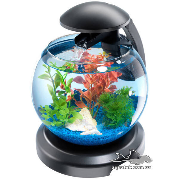 

Аквариум Tetra Cascade Globe черный 6,8 литров для петушка и золотой рыбки