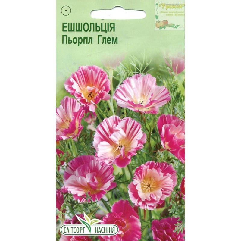 

Семена цветы Эшшольция Перпл Глем, 0,2 г