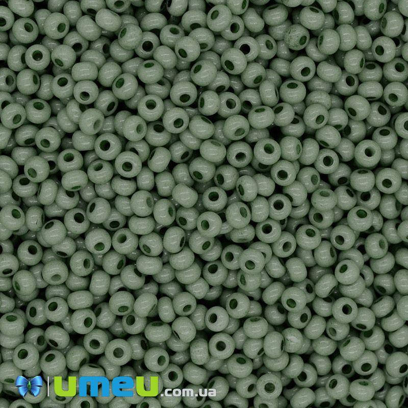 

Бисер чешский №281/03663, Оливковый темный, Натуральный, 10/0 (BIS-043843)