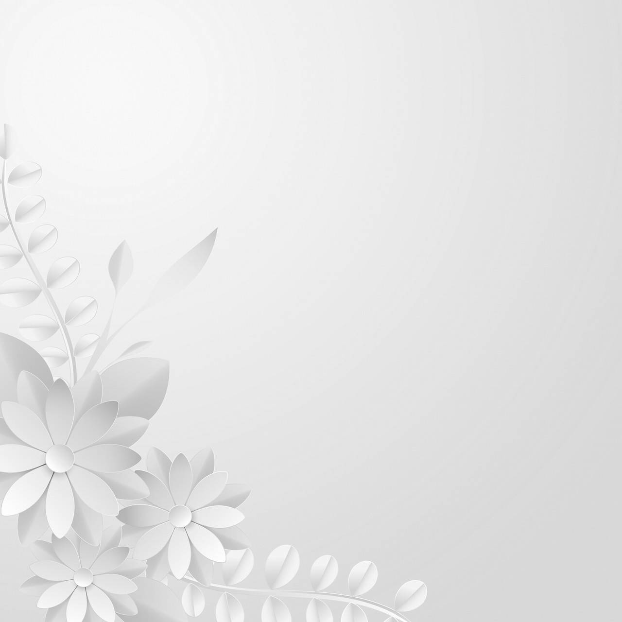 

Фотофон, для предметной съемки