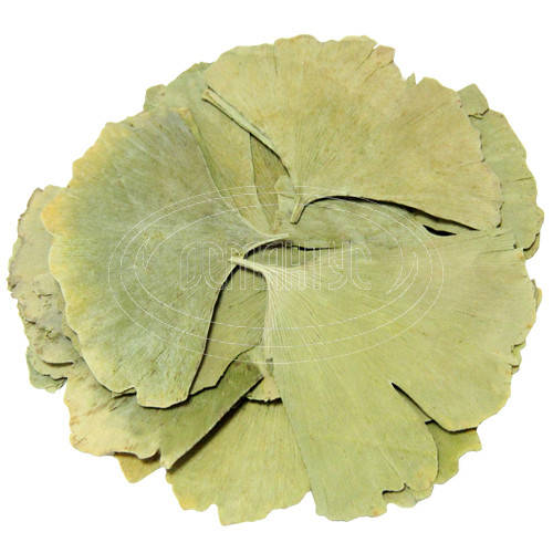 

Листья Гинкго 500 грамм