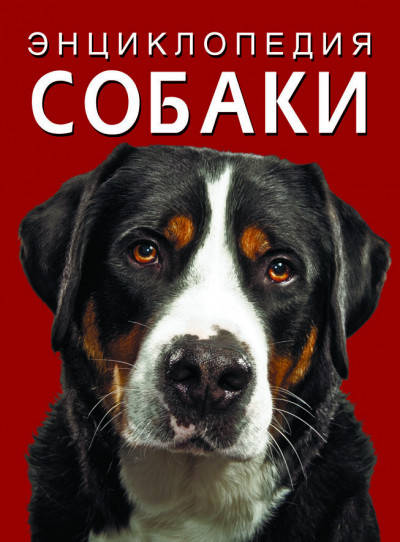 

БАО Энциклопедия. Собаки