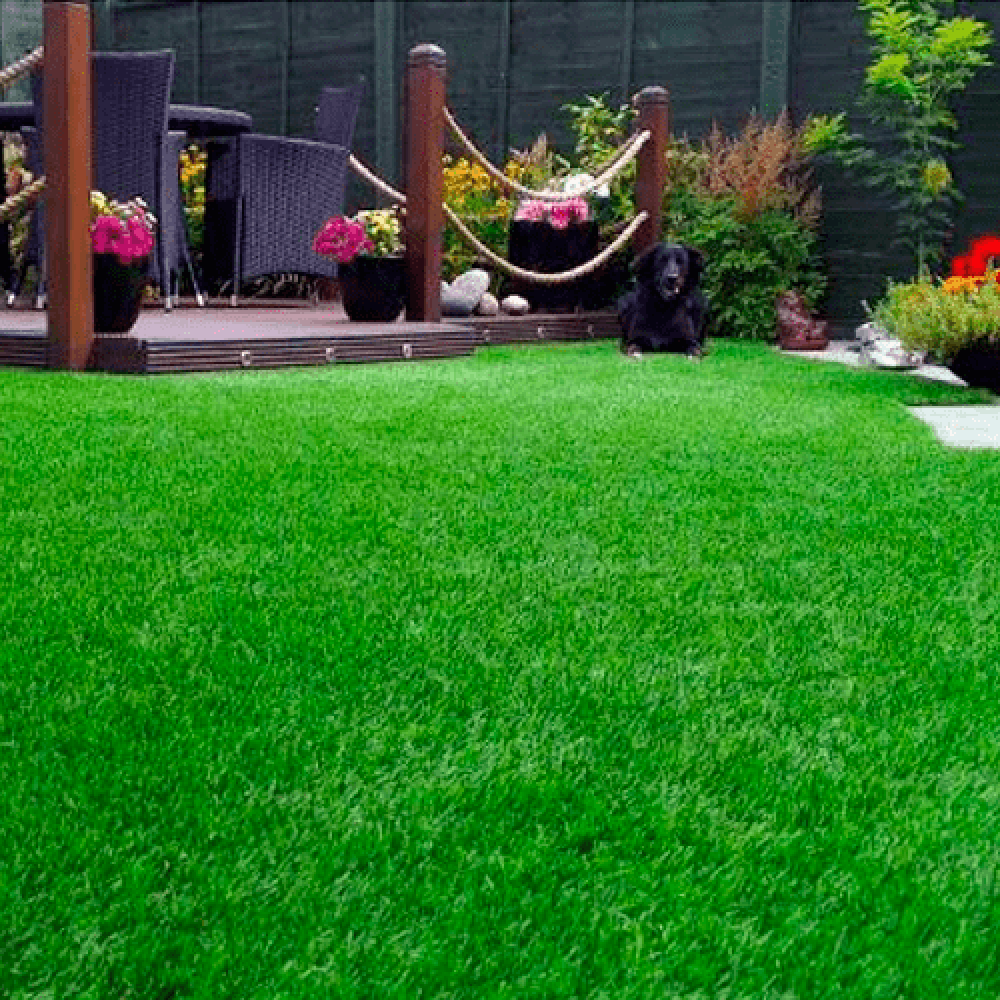 

Трава газонная Универсальная 500г