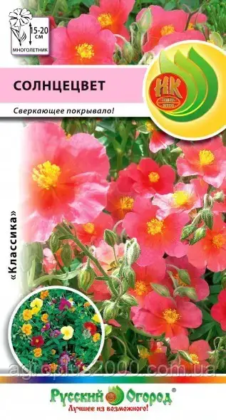 

Семена Солнцецвет смесь 0,1 грамма Семена НК, Разные цвета