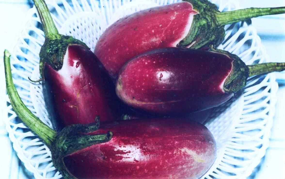 

Баклажан сорт Фіалка Мереф'янська, 0,5 г