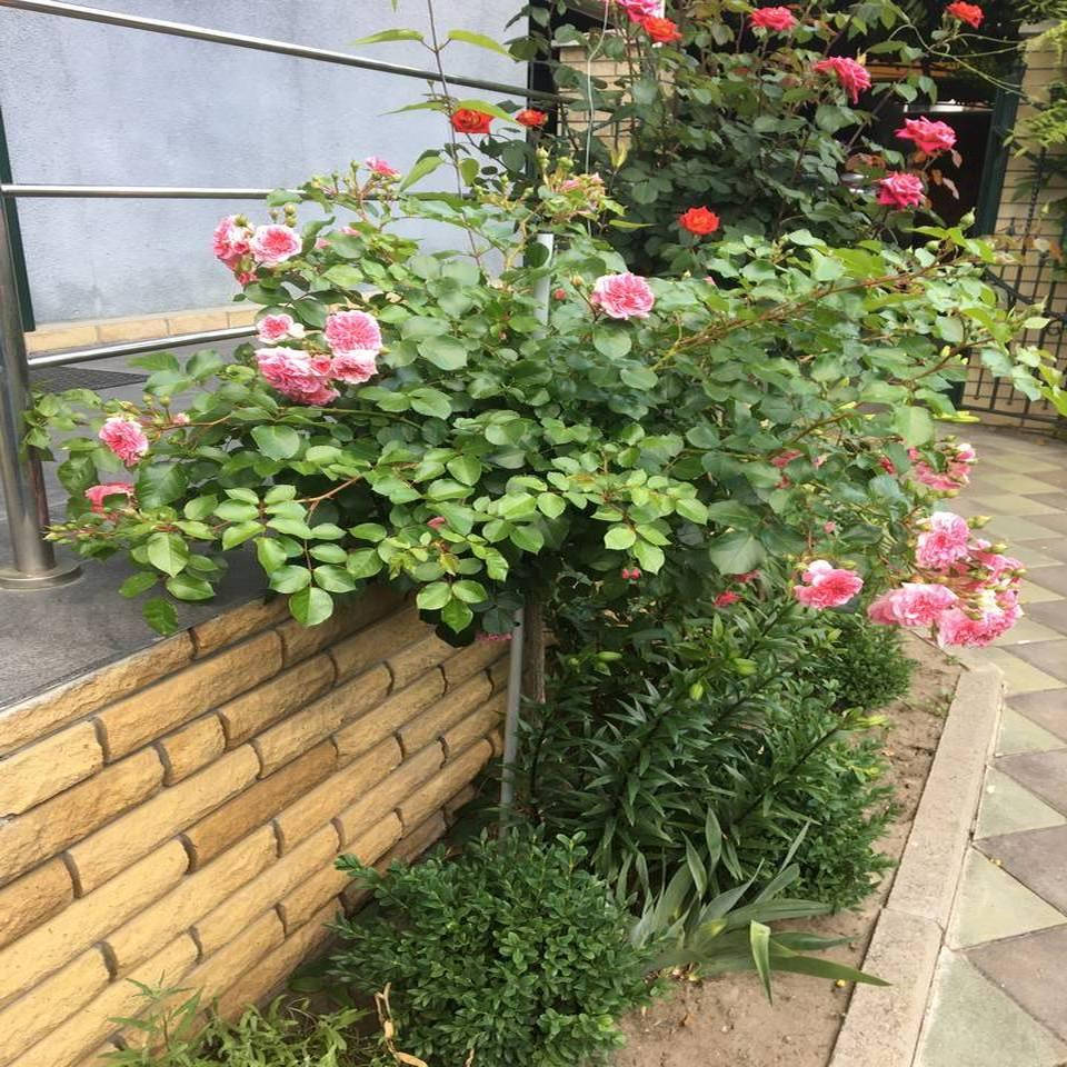 

Линейная опора для растений 1500 (д16), Серебристо-серый