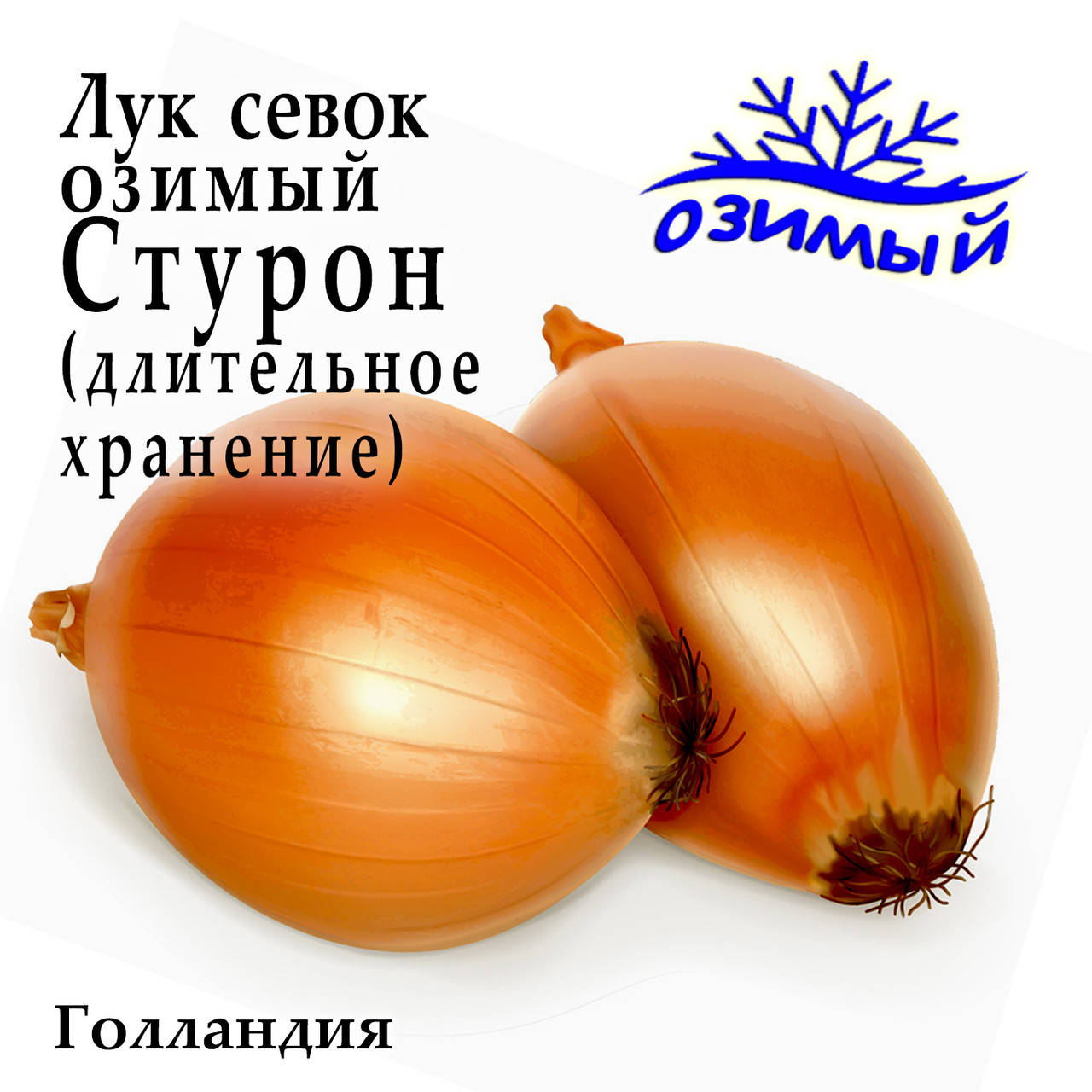 Лук Стурон Купить В Екатеринбурге