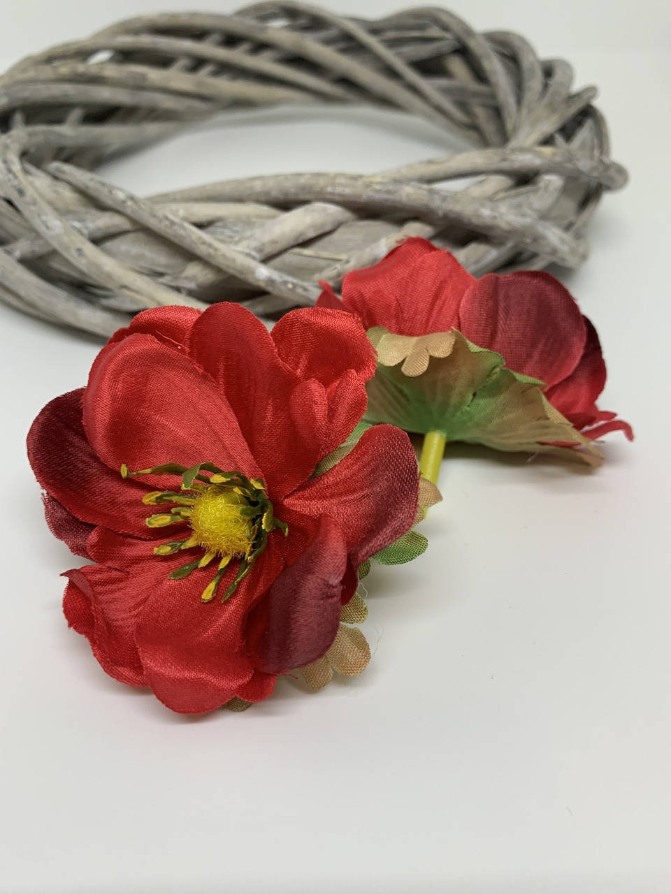 

Головка анемона темно-красная, 2 х 6 см