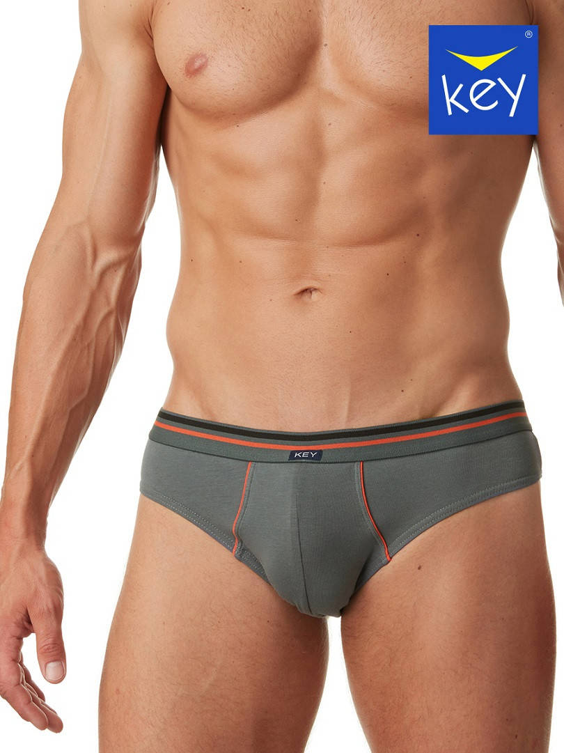 

Трусы мужские KEY MPP-234 A22, за 2 шт, Серый
