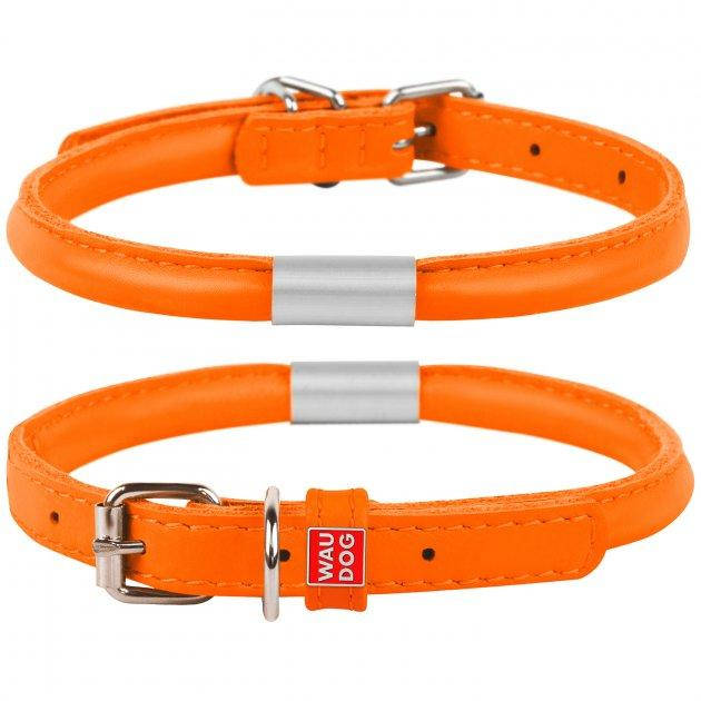 

Ошейник WAUDOG Glamour (33-41 см)