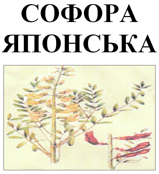 

Софора японская плоды, 100 грамм