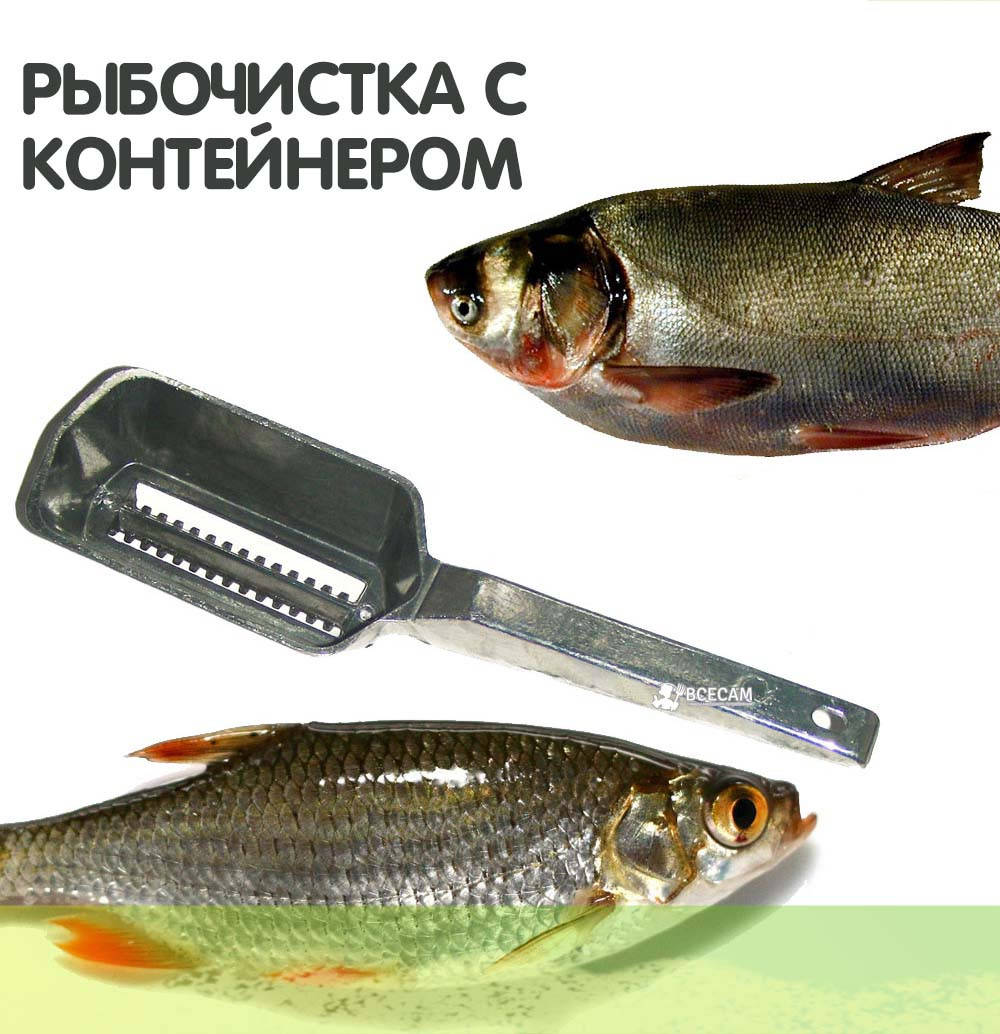 

Рыбочистка металлическая с контейнером "Ретро" 21 см