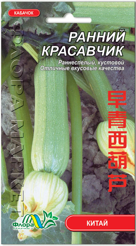 

Кабачок Ранний красавчик