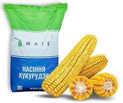 

Новий насіння кукурудзи (ПО)