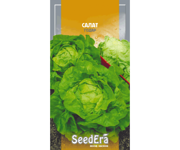 

Салат Годар (качанний) Seedera, 1 г