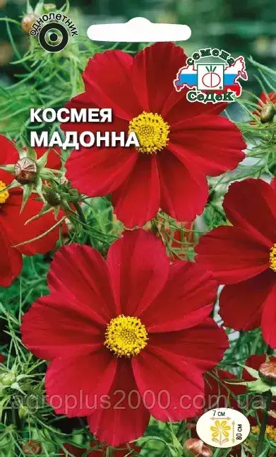 

Семена Космея дваждыперистая Мадонна 0,06 грамма Седек, Красный