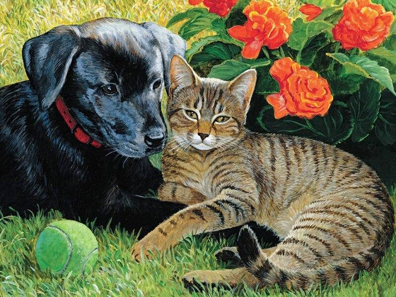 

Алмазная Мозаика Пес и Кошка Набор Вышивки DIY-6211 20x30 см (Полная Выкладка)