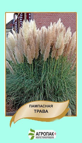 

Семена Пампасная трава 0,02г Агропак