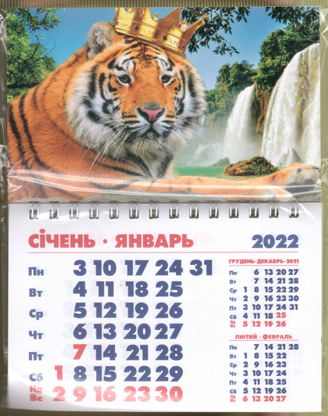 

Календарь-магнит 2022 отрывной на спирали, котики