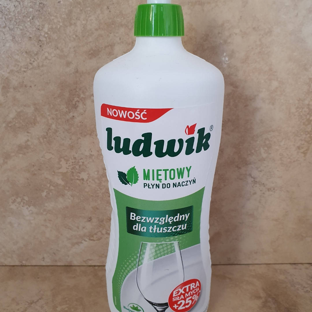 

Ludwik средство для мытья посуды mietowy 900g (МЯТА)