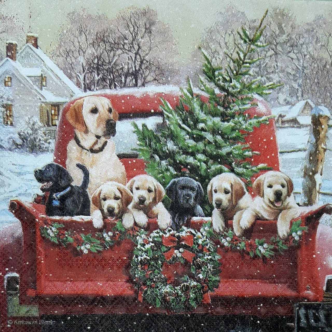 

Салфетка для декупажа НГЖ-155, 33х33см