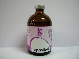 

Гепави-кел (Hepavi-kel) 100 мл