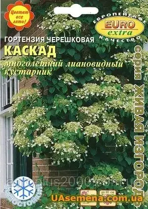 

Семена Гортензия черешковая Каскад 0,003 грамма Аэлита, Белый
