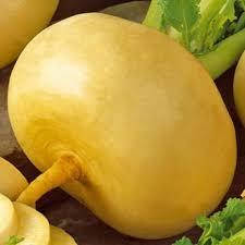 

Репа Золотой шар